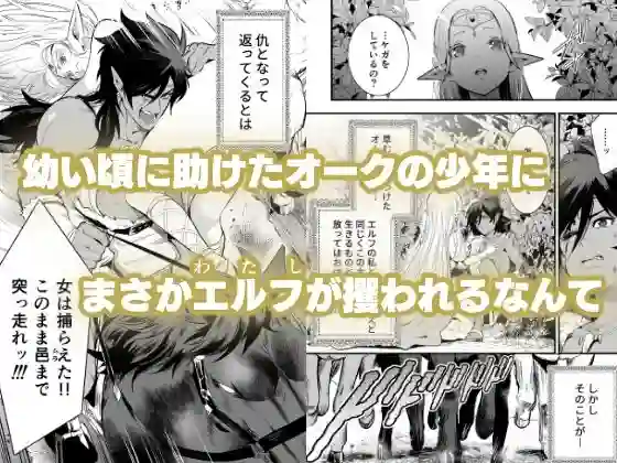 【Jewelry Box】によるエロ漫画同人誌作品【オークの花嫁 〜攫われエルフは快楽に堕ちる〜（d_470150）】のサンプル_01